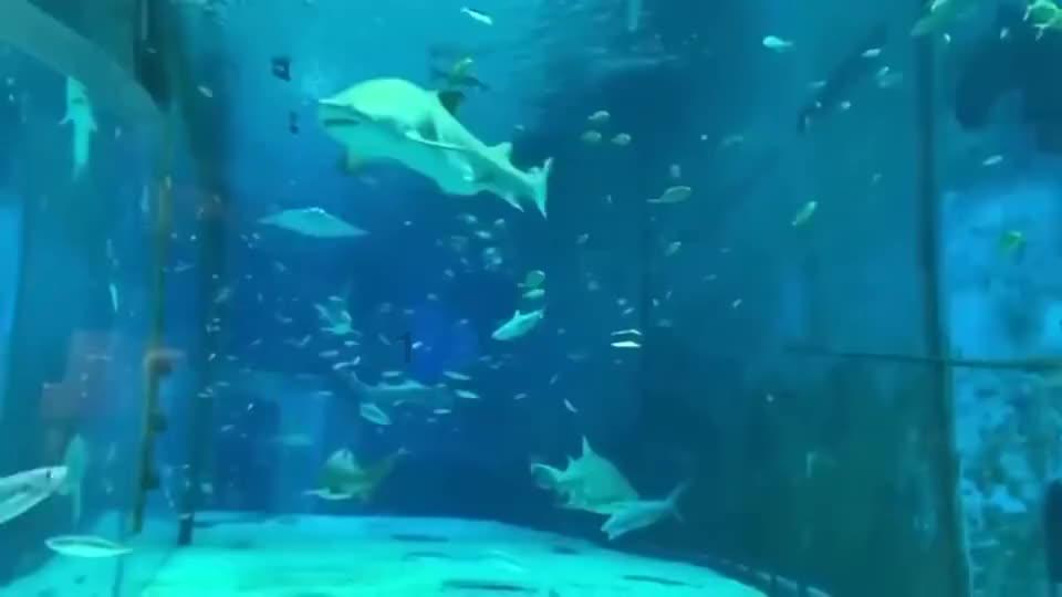 逃离午夜神坛